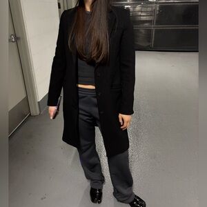 Aritzia Babaton Wool Coat